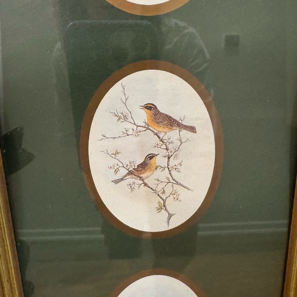 Unbranded Bird Prints Wall Decor with Beautiful Framed&Glass - Picture 3 of 9